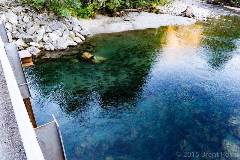 Illustration for article titled The British Columbian Wilderness and the Baddest Water Filter Ever Built